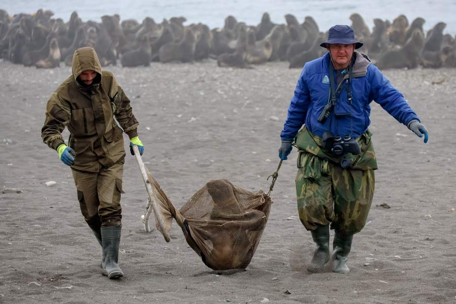Экспедиция «Бумеранга» на остров Тюлений
