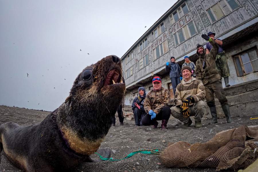 Экспедиция «Бумеранга» на остров Тюлений