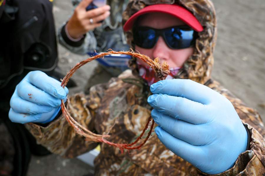Экспедиция «Бумеранга» на остров Тюлений