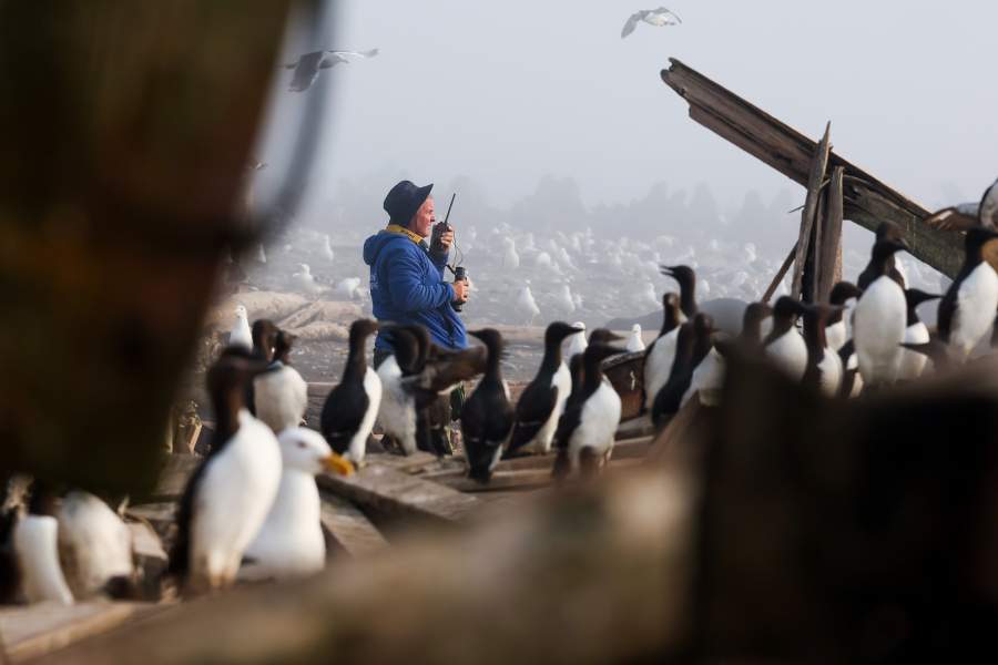 Экспедиция «Бумеранга» на остров Тюлений