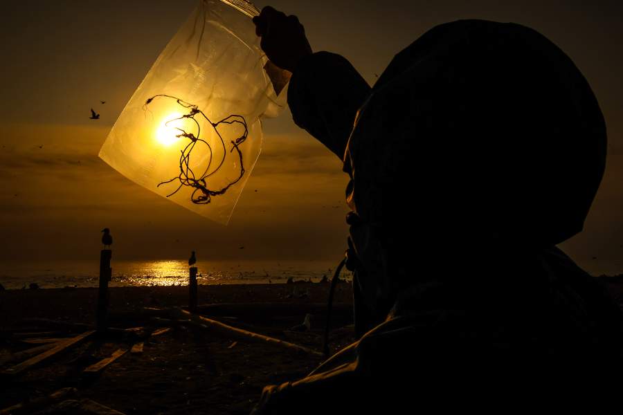 Экспедиция «Бумеранга» на остров Тюлений