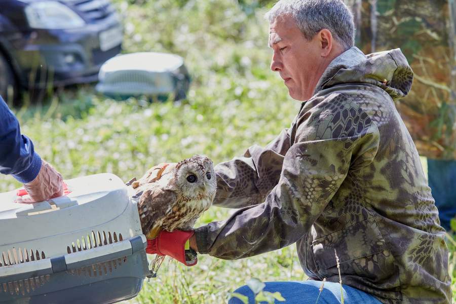 Фото прошедшей недели