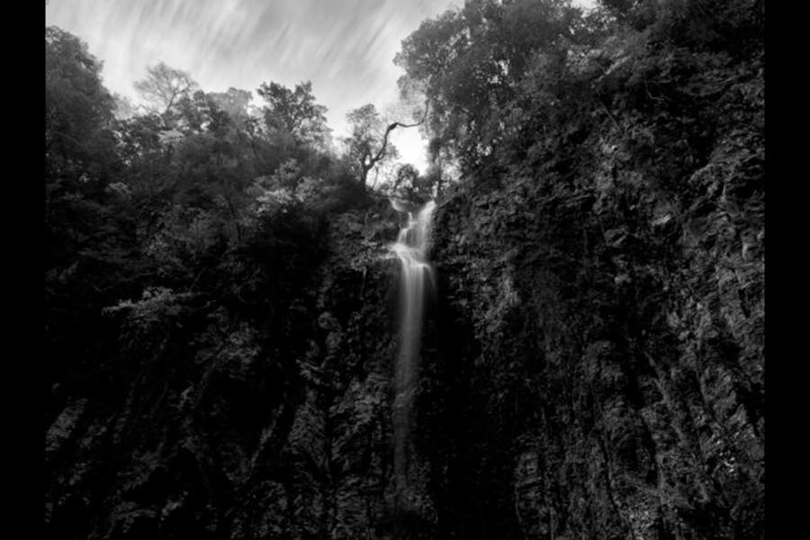 iPhone Photography Awards 2024