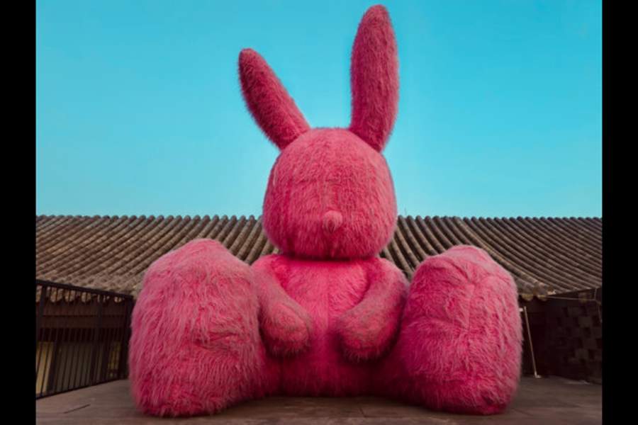 iPhone Photography Awards 2024