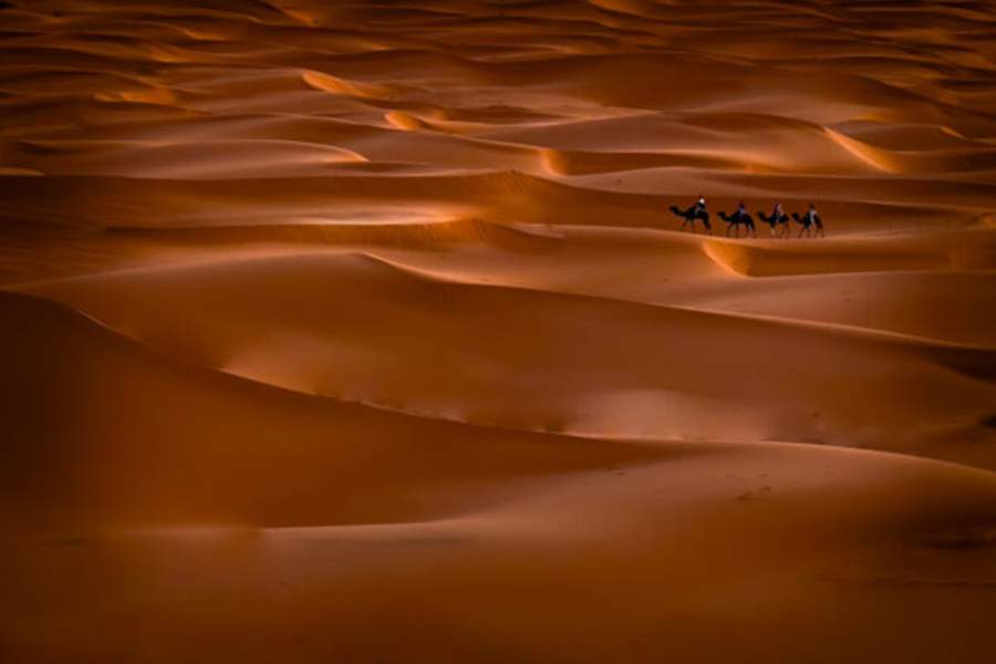 iPhone Photography Awards 2024