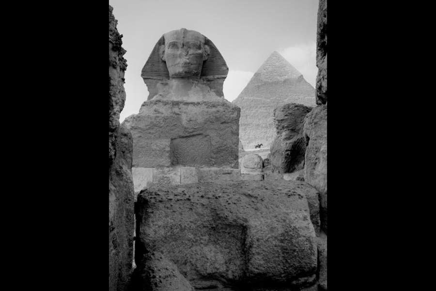 iPhone Photography Awards 2024