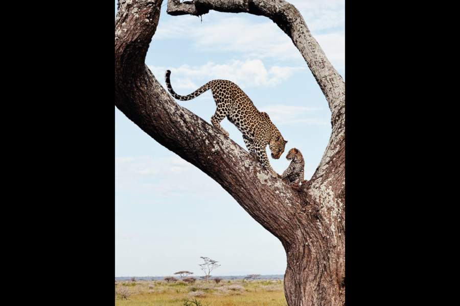 iPhone Photography Awards 2024