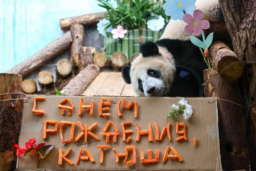 Фото прошедшей недели