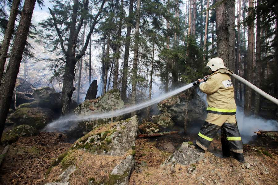 Фото прошедшей недели