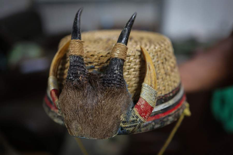 Как охотники объединились с зоозащитниками, чтобы спасти медведей