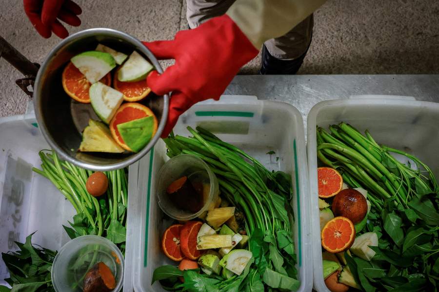 Как охотники объединились с зоозащитниками, чтобы спасти медведей