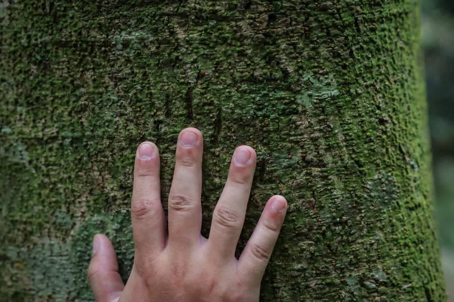 Как охотники объединились с зоозащитниками, чтобы спасти медведей