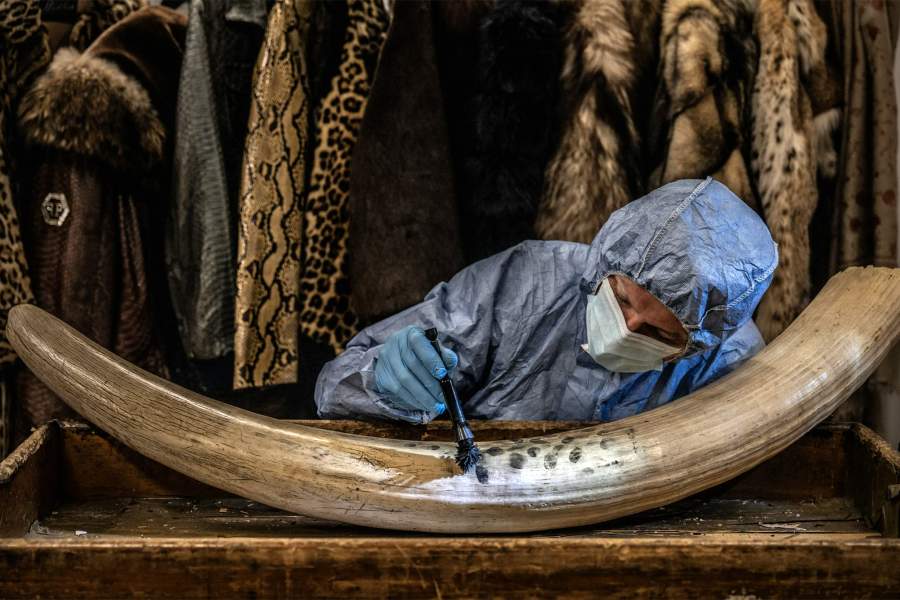 Dusting for New Evidence by Britta Jaschinski (Germany/UK)