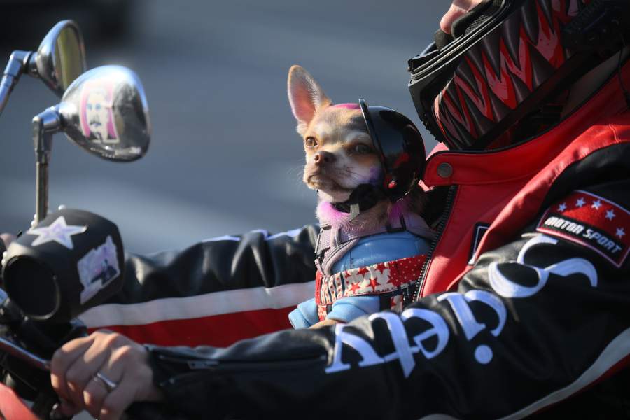 Мотосезон 2024 завершился в России