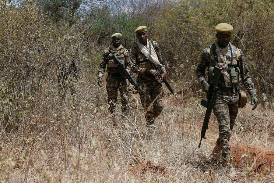 Перевозка слонов в Кении