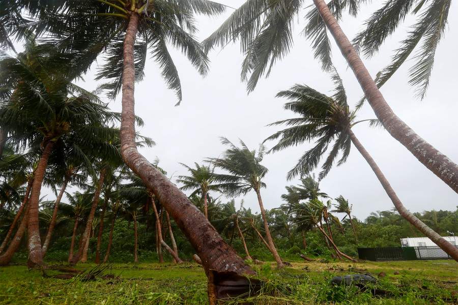 Деревья частично обрушились из-за сильного ветра, когда тайфун Конг-Рей быстро движется в сторону Тайваня, в прибрежной зоне Хуаляня, Тайвань, 31 октября 2024 года