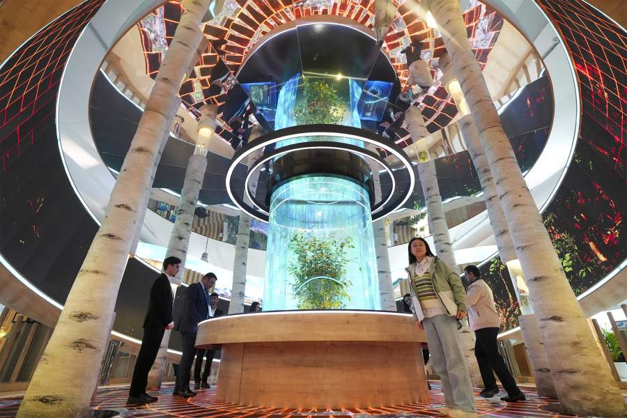 Азербайджан. Баку. Участники климатической конференции ООН COP29, 11 ноября 2024