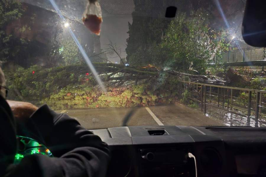 Перекрыто движение в сторону Сочи из-за упавшего дерева 