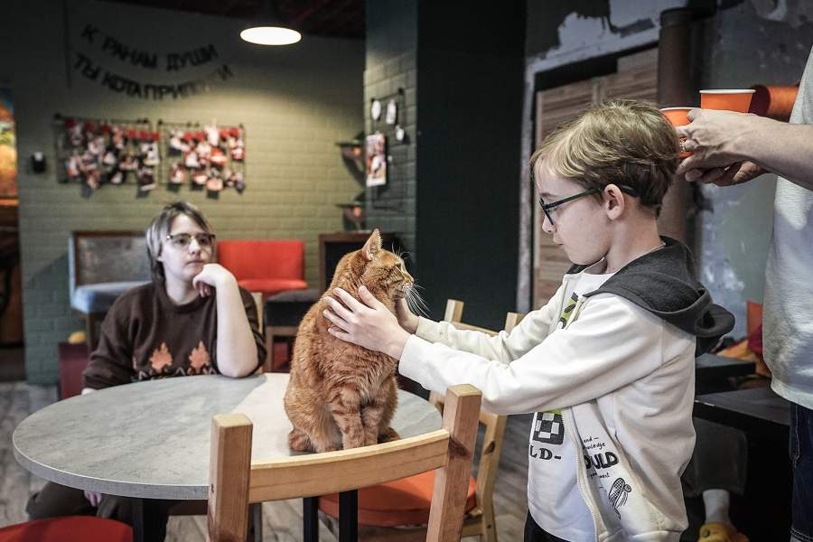 Однако в котокафе кошки не только хозяйничают, иногда они и работают  кошками, а точнее — котовоспитателями и кототерапевтами. Это прекрасный способ приучить ребенка уважительно и бережно относиться к животным, прежде чем завести свою собственную кошку, — привести его в котокафе. Кроме того, в котокафе «Котики: смена» организуют специальные сеансы общения с животными для детей-аутистов, на которых взаимодействие с кошками оказывает терапевтический эффект
