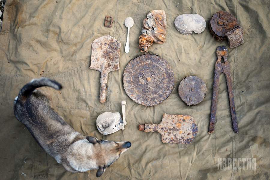 Находки 2025 года