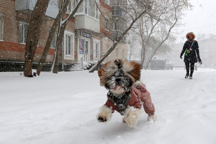 Снегопад в Перми