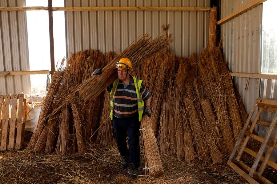 Фестиваль культуры викингов в Ирландии