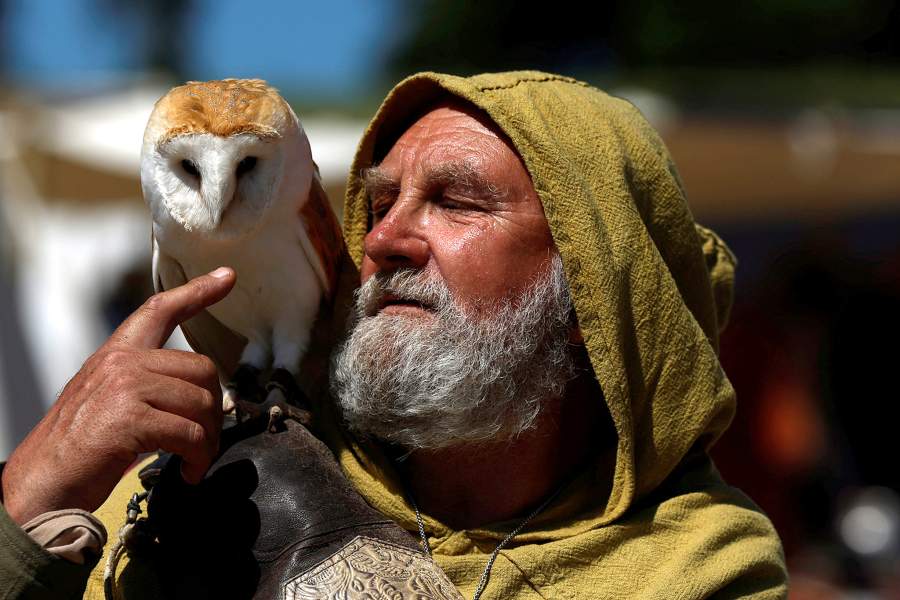 Фестиваль культуры викингов в Ирландии
