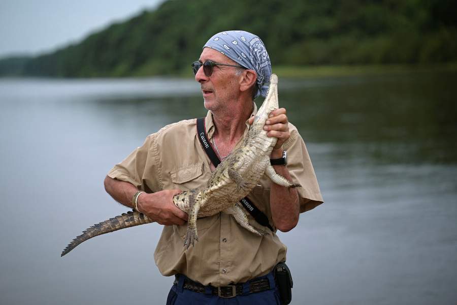 Спасение крокодилов Ориноко