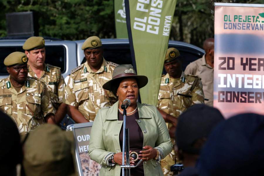 Носороги Кении