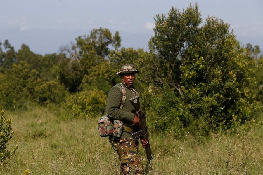 Носороги Кении