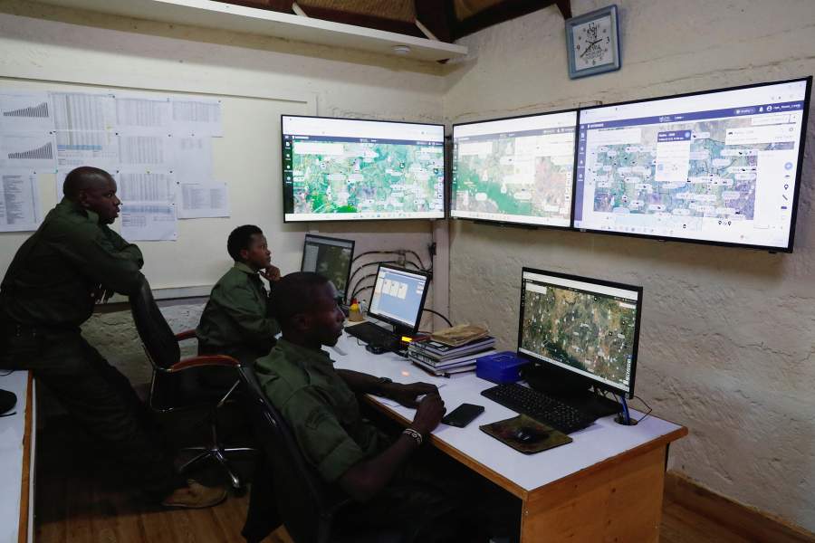 Носороги Кении