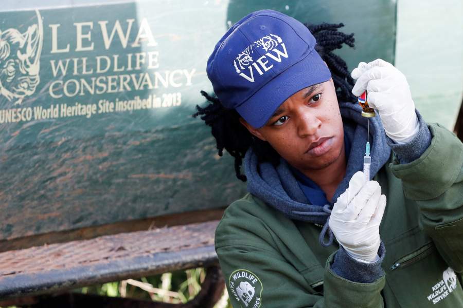 Носороги Кении