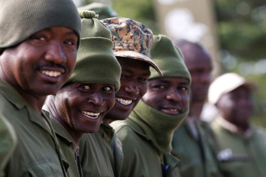 Носороги Кении