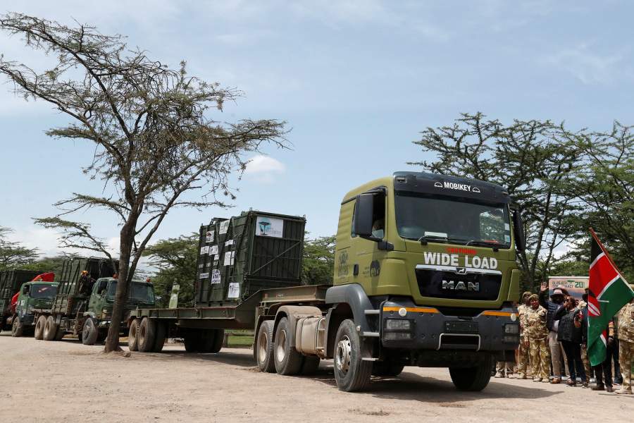 Носороги Кении