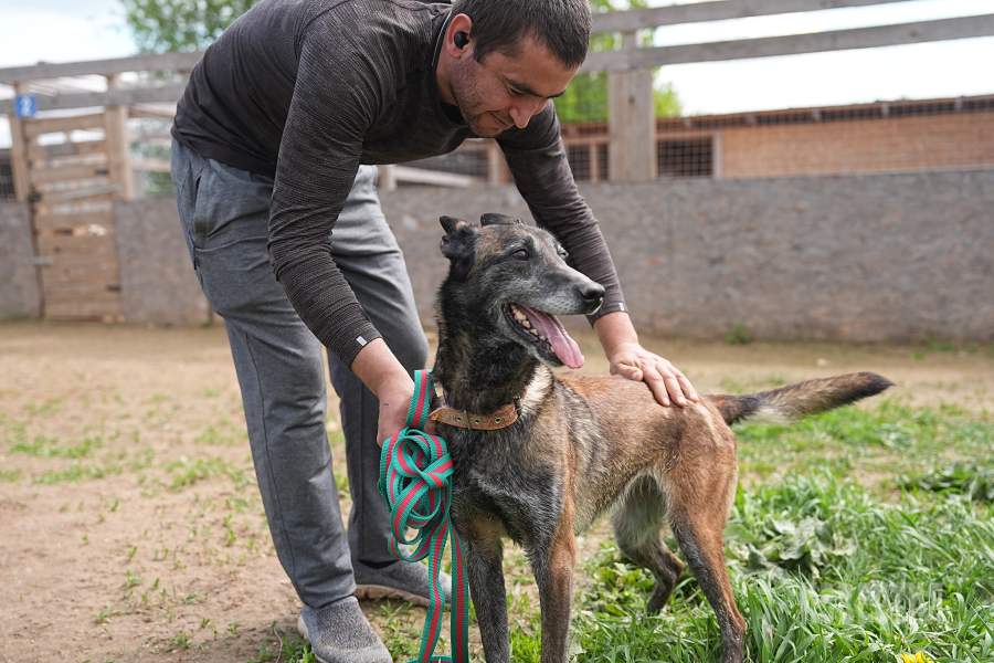 Приют списанных служебных собак «Гвардия»