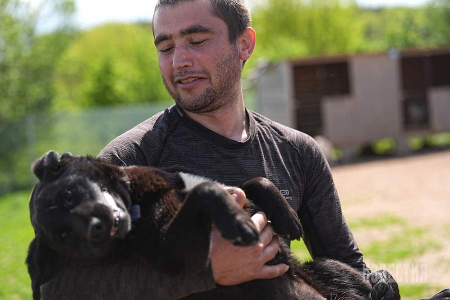 Приют списанных служебных собак «Гвардия»