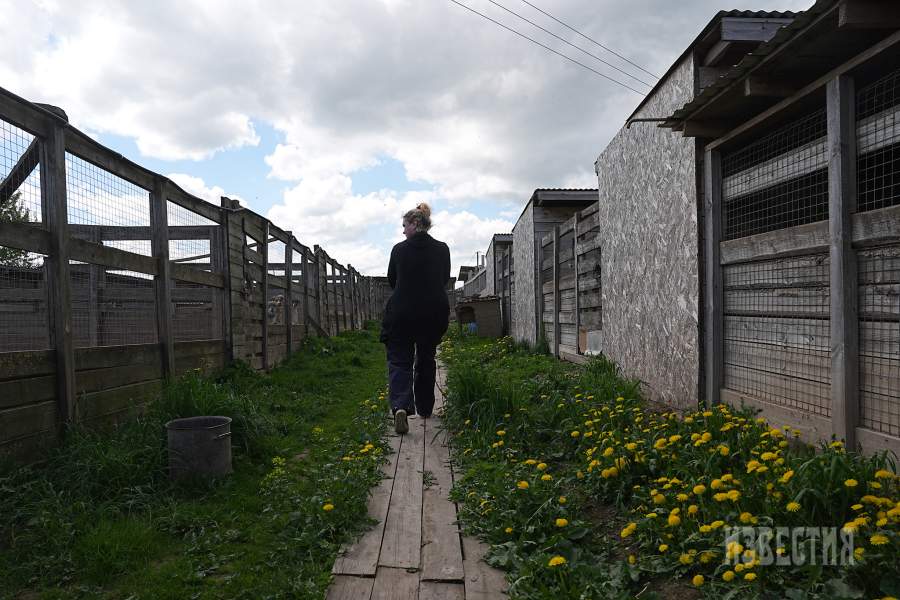 Приют списанных служебных собак «Гвардия»