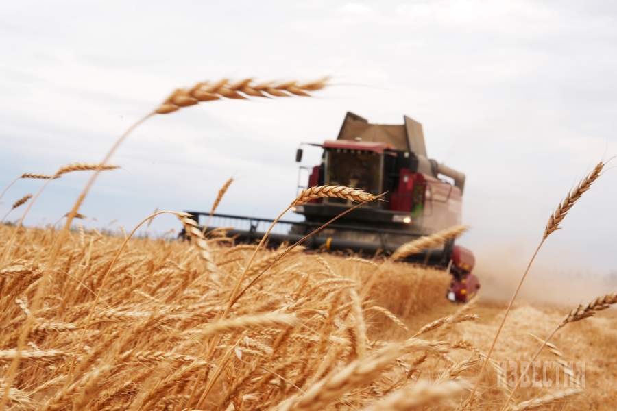 Уборка зерна в Ставропольском крае