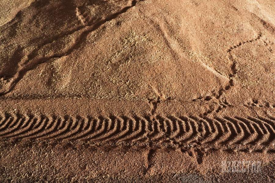 Уборка зерна в Ставропольском крае