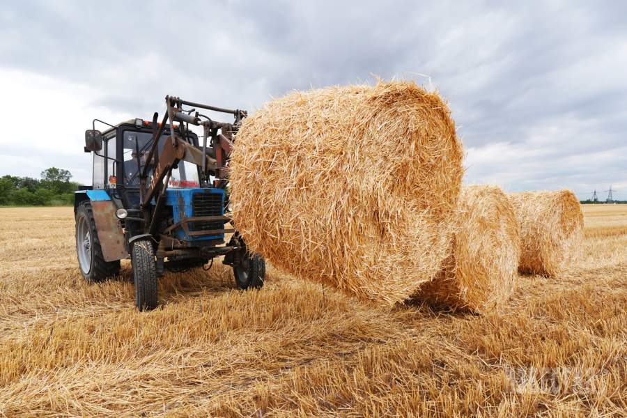 Уборка зерна в Ставропольском крае