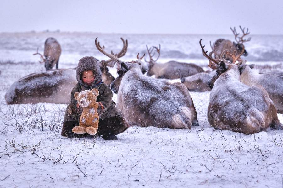 Плюшевый мишка Автор: Романов Александр Владимирович Конкурс и номинация: 2020 / Многоликая Россия Место съемки: Ямало-Ненецкий автономный округ, Тазовский полуостров Описание: Игрушки ненецких детей всегда были сшиты из натурального материала: из кусочков шкуры оленя, сукна, ткани. Украшали бисером, утиными носиками. Игрушки были для девочек (куклы из утиных носиков) и мальчиков (маленькие нарты, ножик, аркан).