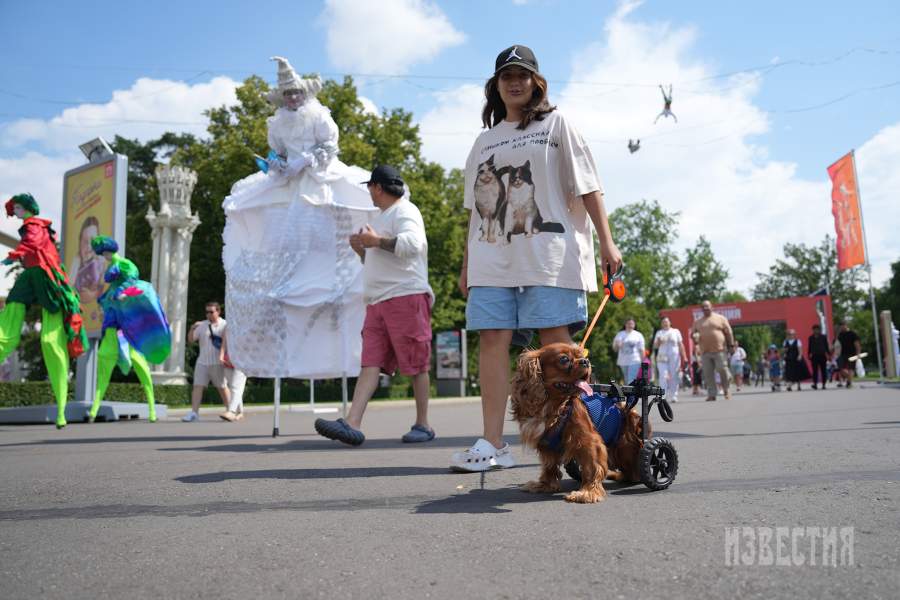 Фестиваль «Трапеция»