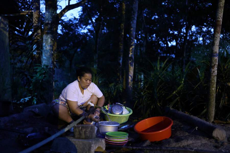 В Малайзии женщины-аборигены спасают популяцию гиббонов