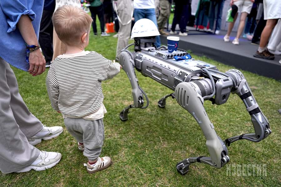 Ребенок играет с роботом-собакой на «ИТ-пикнике» в музее-заповеднике «Коломенское»