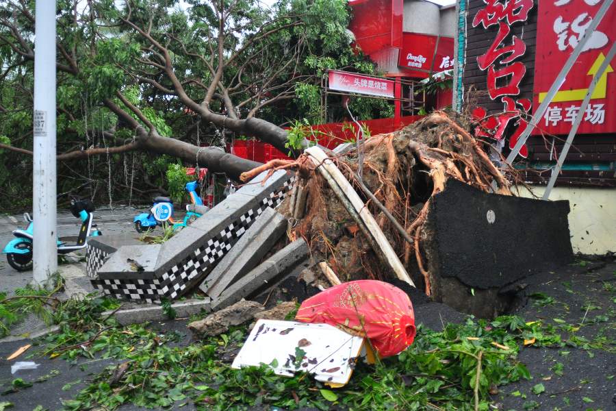 САНЬЯ, КИТАЙ - 25 августа: Вырванные с корнем деревья лежат на улицах, поскольку тайфун "Каджики" 25 августа 2025 года принес в Санью, китайскую провинцию Хайнань, сильный ветер и проливные дожди. 24 августа сильные ветры и проливные дожди обрушились на Южно-китайскую провинцию Хайнань и некоторые районы провинции Гуандун, когда тайфун "Каджики" прошел над открытыми водами к югу от Хайнаня и направился к центральному побережью Вьетнама. 