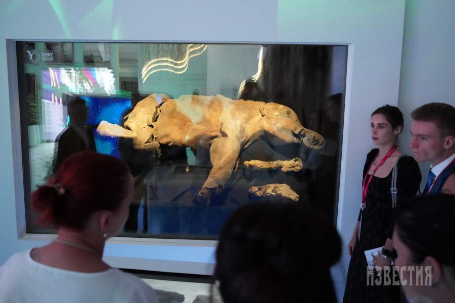 Восточный экономический форум – 2025