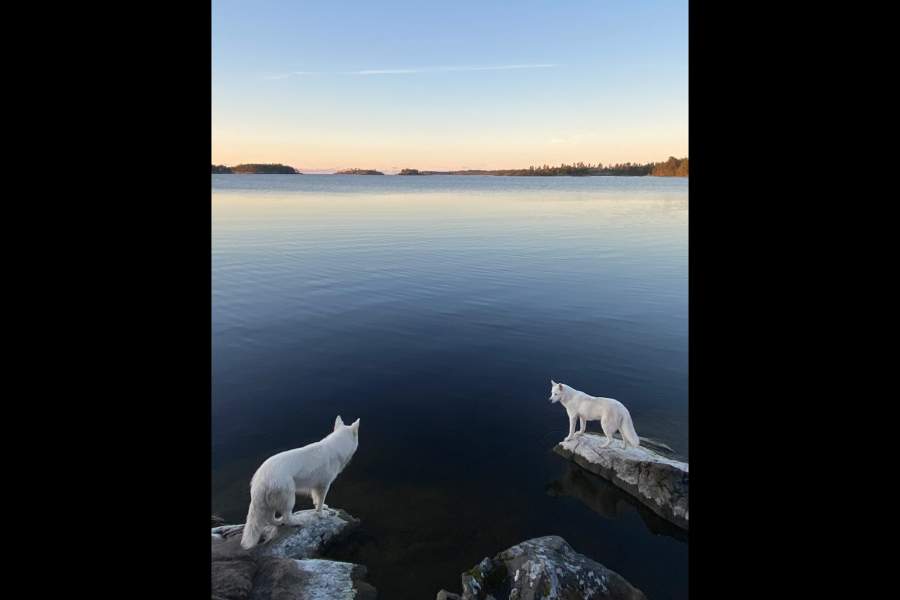 Победители фотоконкурса «Самая красивая страна» от РГО