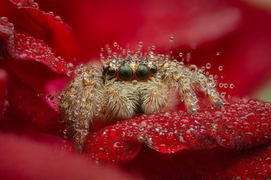 Победители фотоконкурса «Самая красивая страна» от РГО