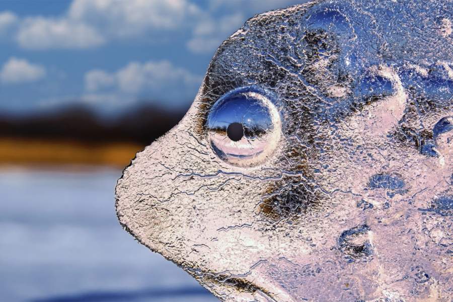 Победители фотоконкурса «Самая красивая страна» от РГО