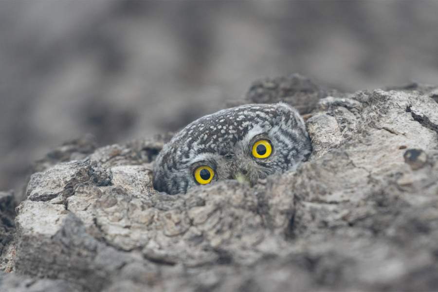 Победители фотоконкурса «Самая красивая страна» от РГО